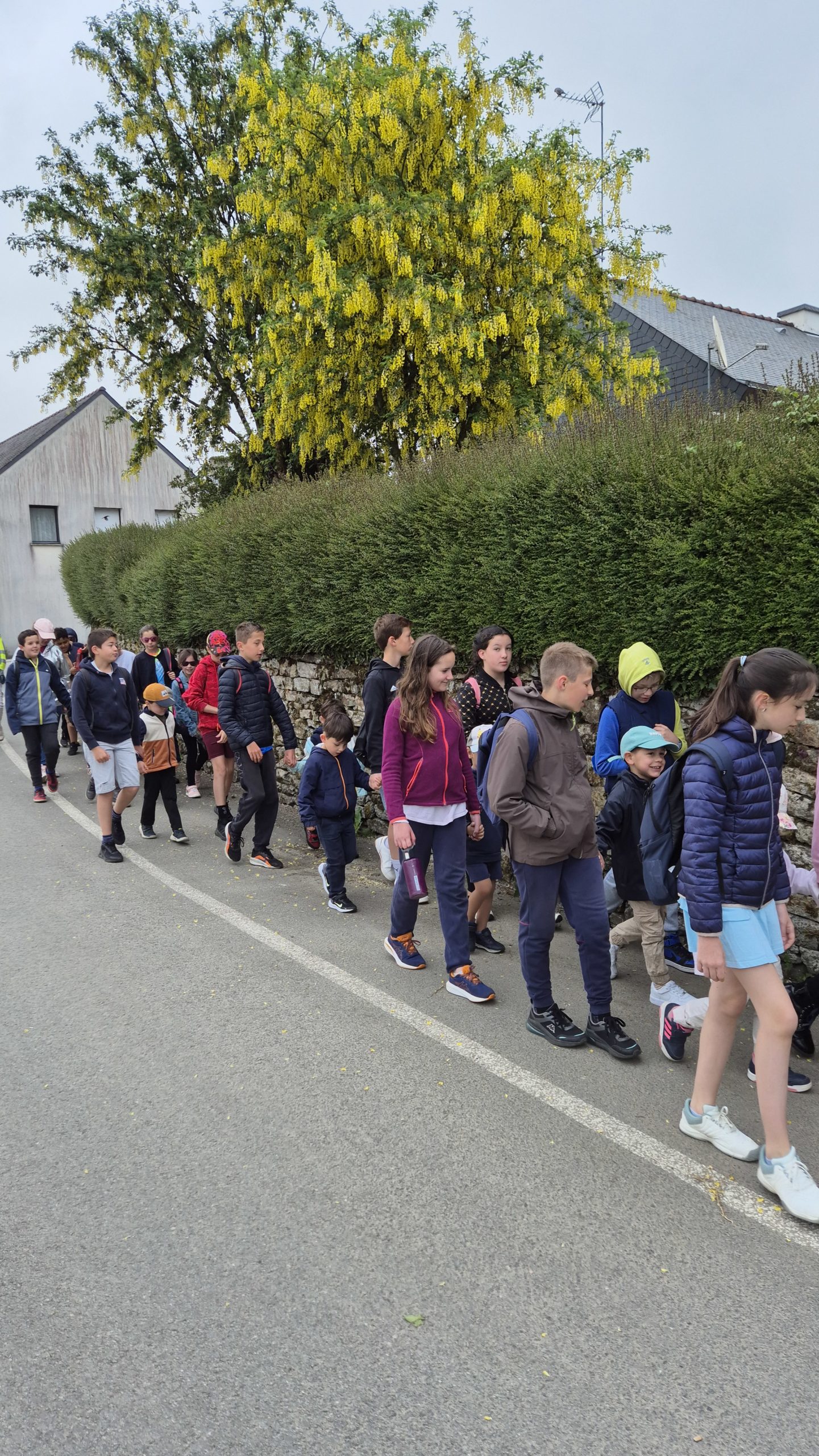 Marche solidaire