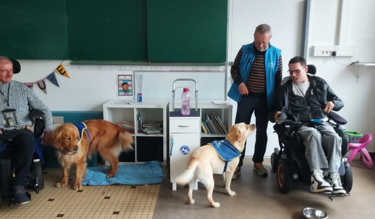 Tous solidaires pour « Handi Chien »