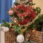 Lire la suite à propos de l’article LE PERE-NOËL EST PASSE DANS LA CLASSE!
