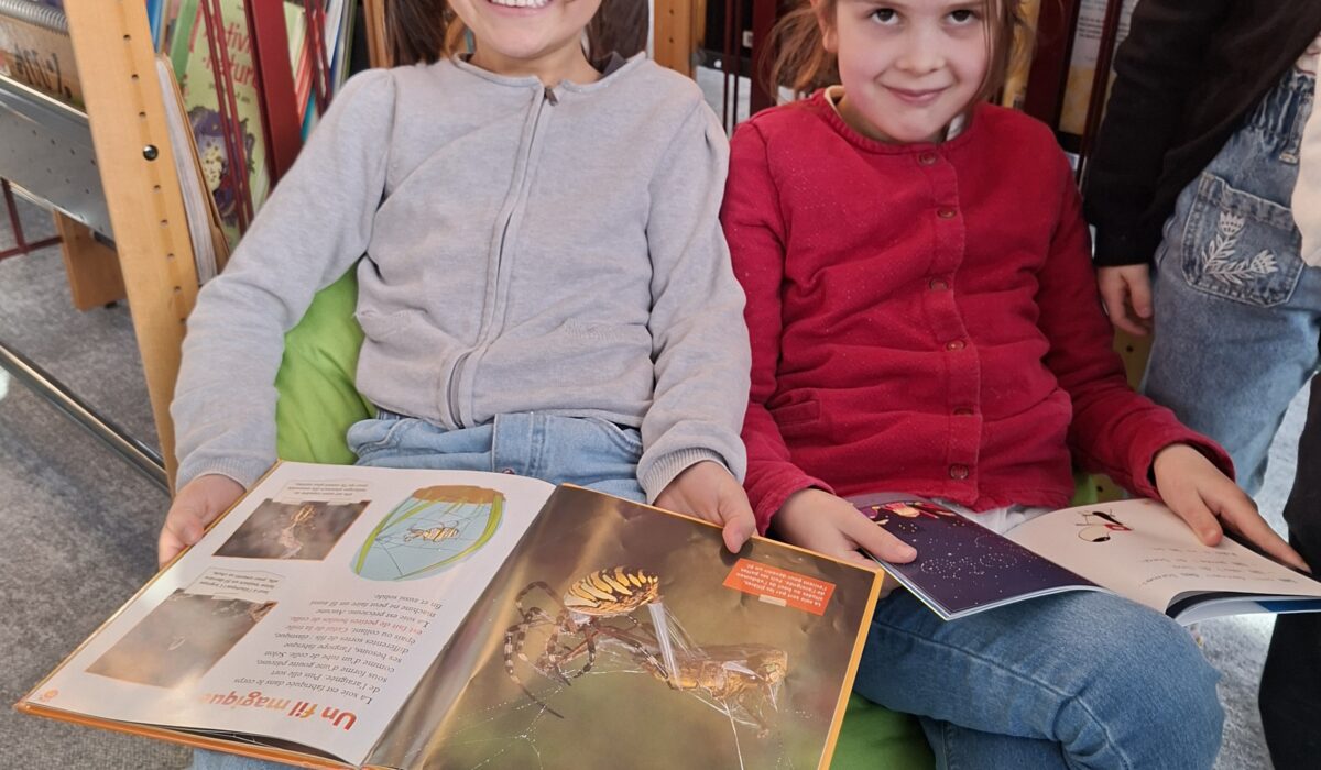 UNE ANIMATION SUR LES EMOTIONS A LA MEDIATHEQUE