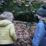 Lire la suite à propos de l’article Chasse aux trésors d&rsquo;automne en forêt
