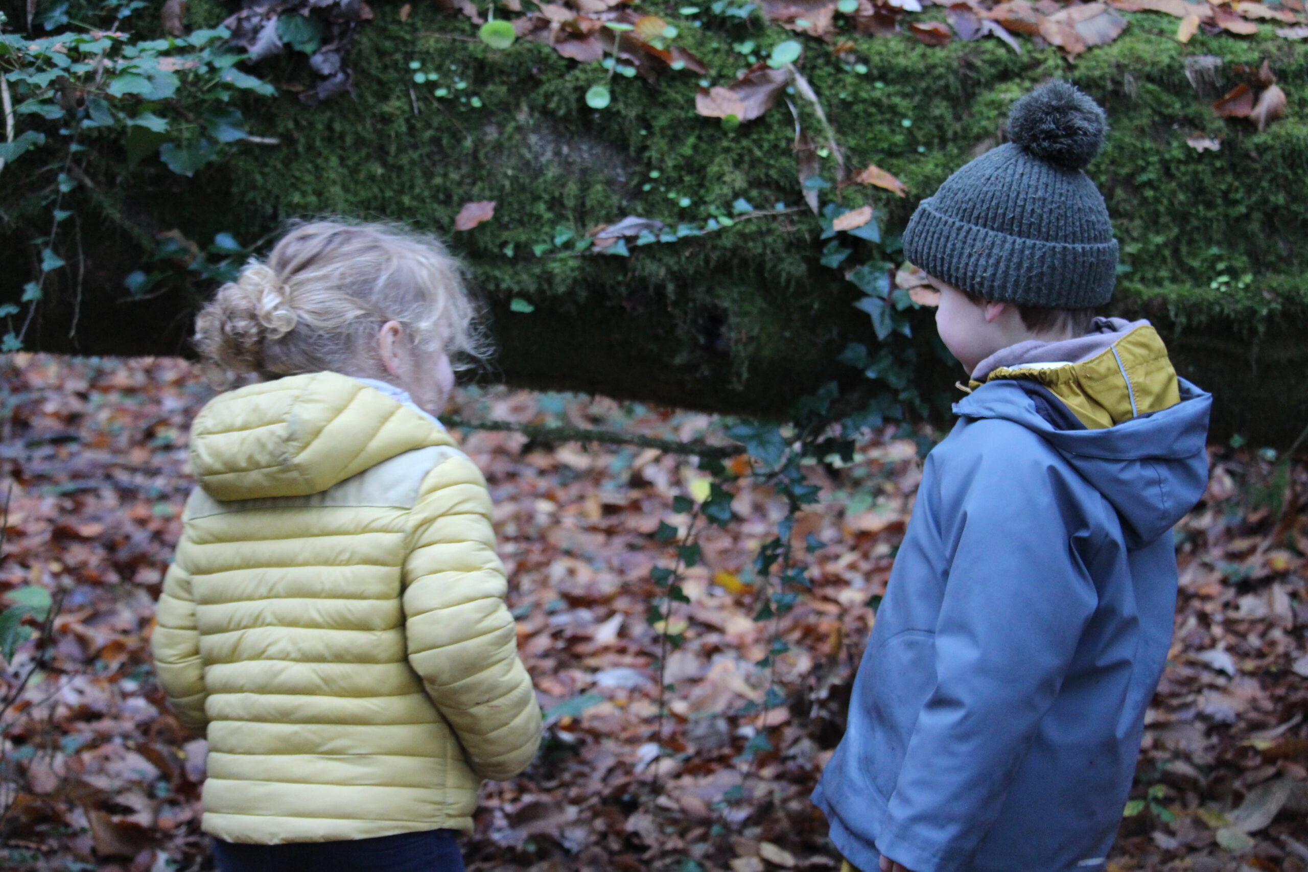 Chasse aux trésors d&rsquo;automne en forêt