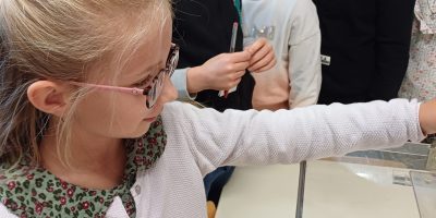 Elections des délégués