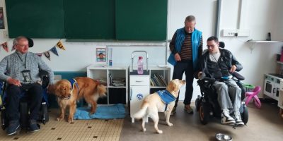 Tous solidaires pour « Handi Chien »