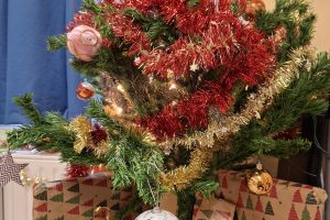 LE PERE-NOËL EST PASSE DANS LA CLASSE!