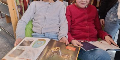 UNE ANIMATION SUR LES EMOTIONS A LA MEDIATHEQUE