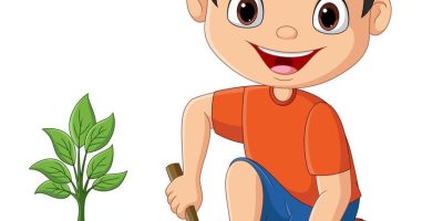 Plantation de bulbes