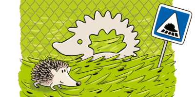 Les passages à hérissons