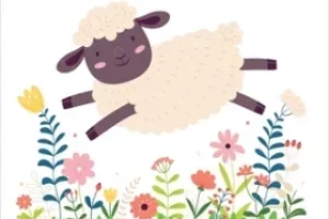 Tonte des moutons